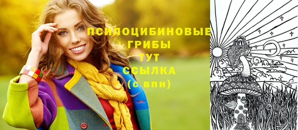 mdma Карпинск