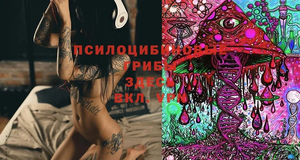 mdma Карпинск