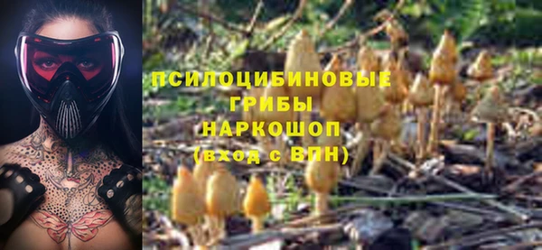 apvp Касимов