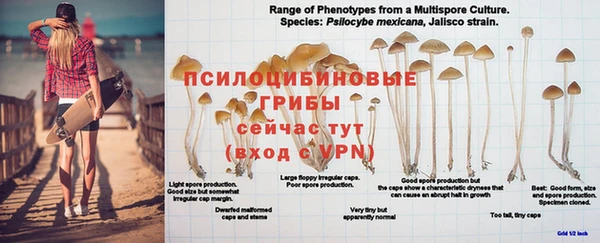 mdma Карпинск